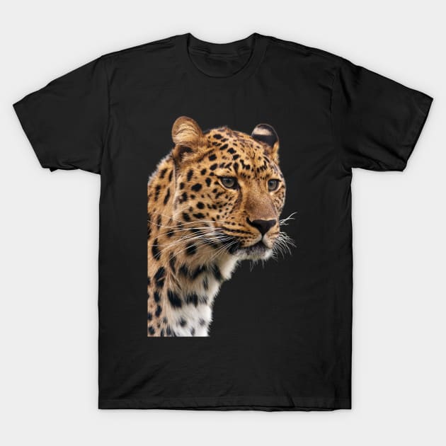 leopard photography T-Shirt by à la mode !